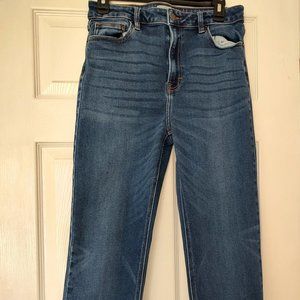 Carly Jean Los Angeles Brooke Dark Jean Petite